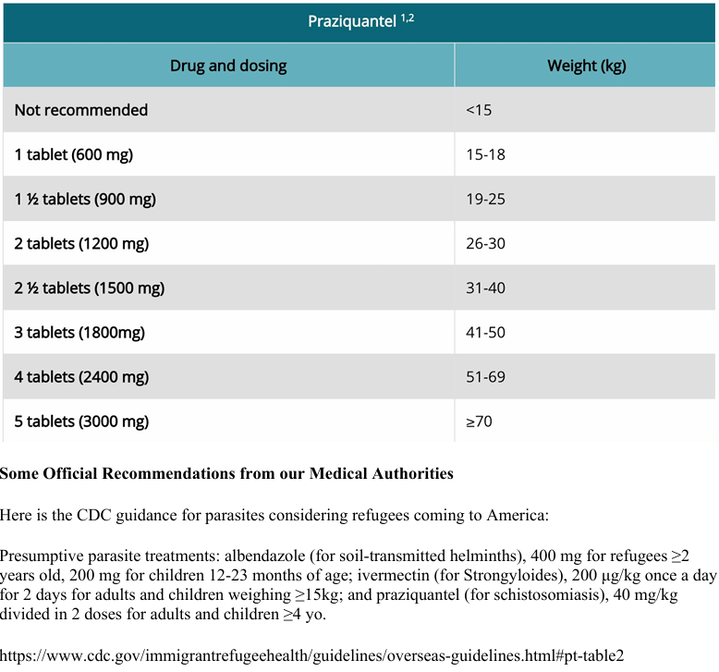 スクリーンショット (420)