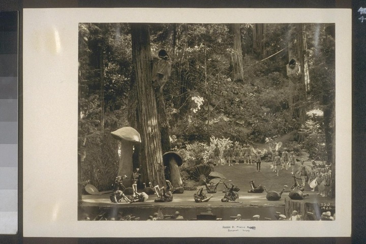 BohemianGrove303