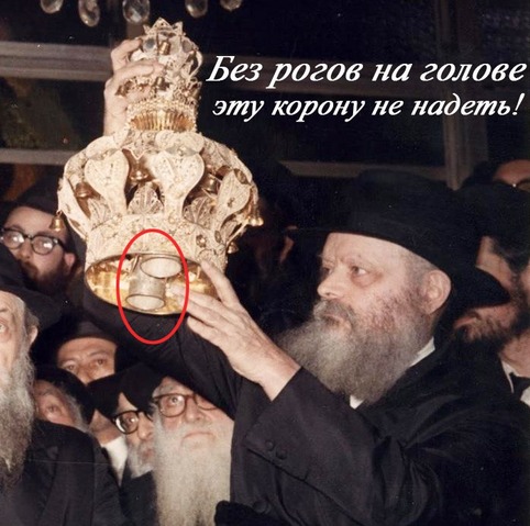 photo_2024-11-04_18-55-54