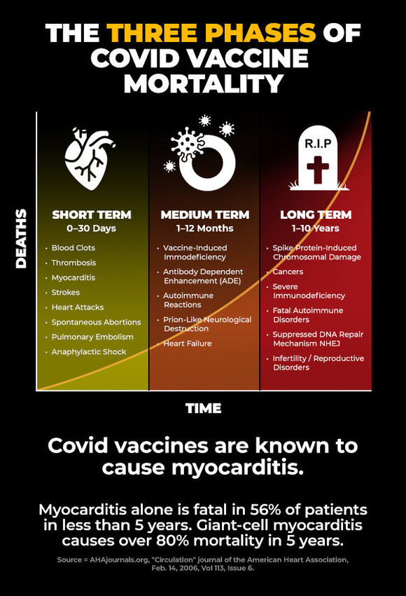 Three-Phases-Covid-Vaccine-Mortality-600