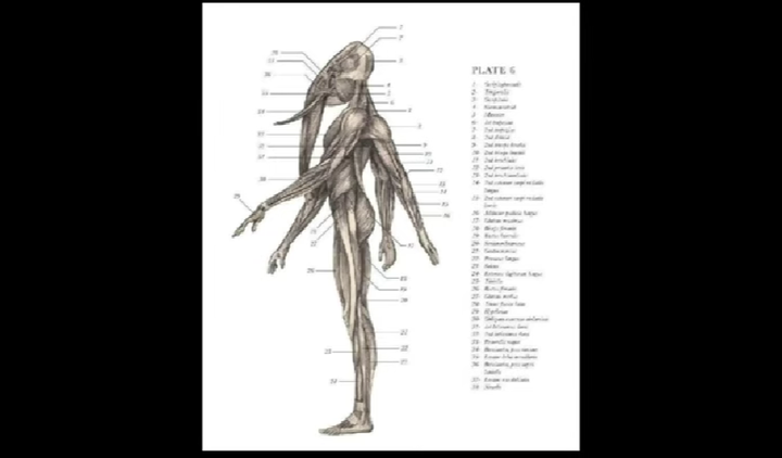 Screenshots (98)