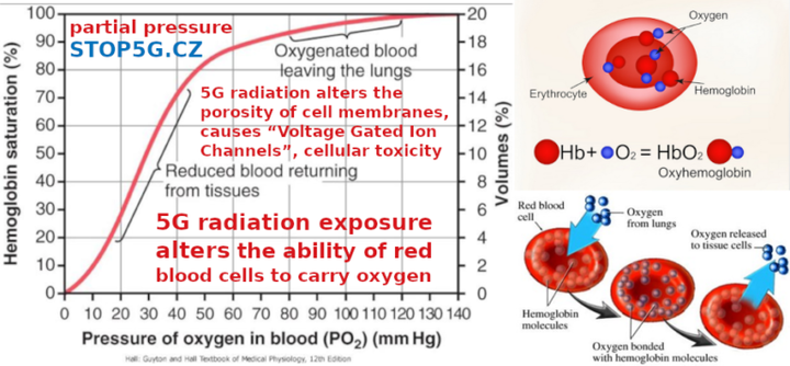 stop5g.cz-5G-radiation-exposure-änders-t