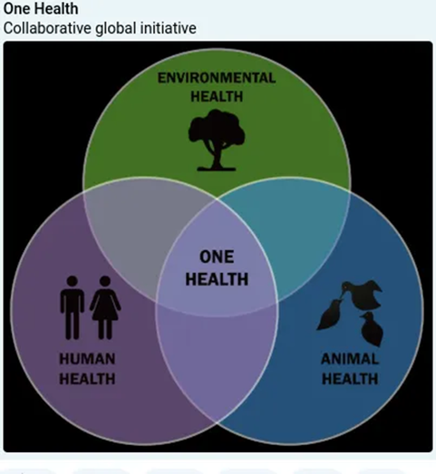 32fe870c-1016-492c-948-9d63faec754