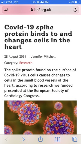 https___bucketeer-e05bbc84-baa3-437e-9518-adb32be77984.s3.