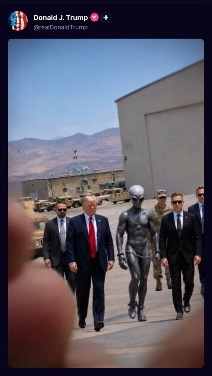 エリア51？walks_alien