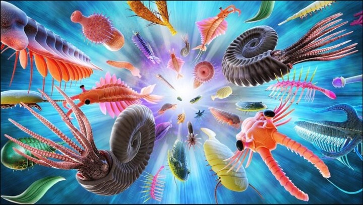Cambrian_explosion