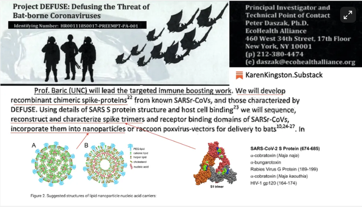 スクリーンショット (1048)