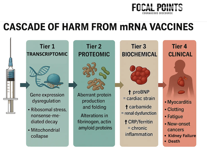 スクリーンショット (884)