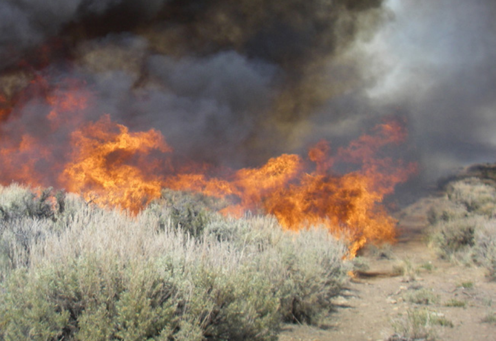 スクリーンショット (1412)