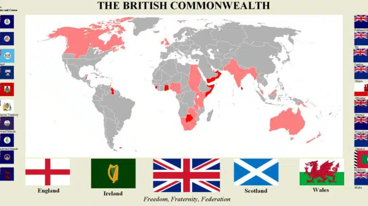 スクリーンショット (488)