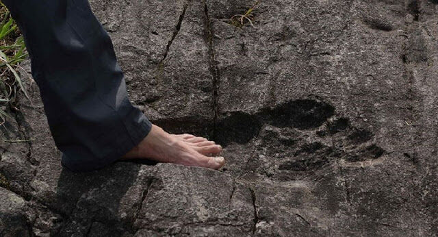 giant_footprint2