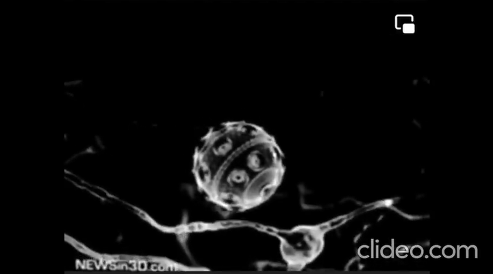 スクリーンショット (508)