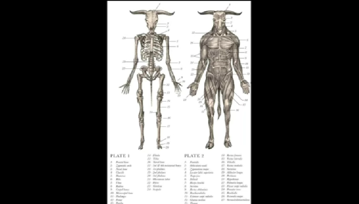 スクリーンショット (97)