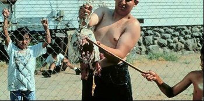 Repräsentant von Schamanen getötet