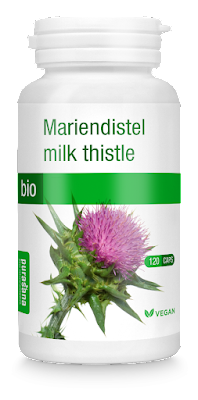 Milk Thistle