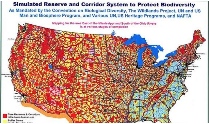 スクリーンショット (1071)