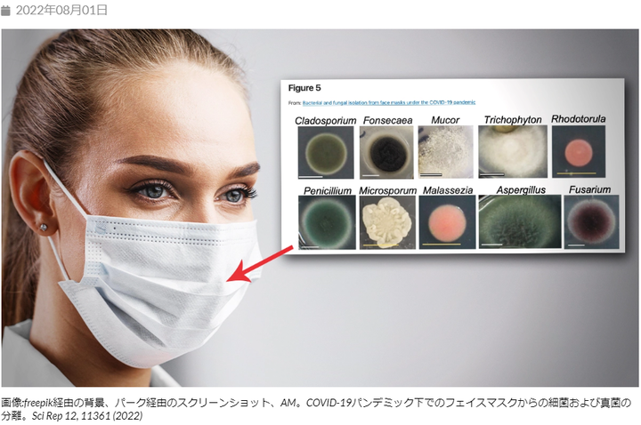 Screenshot_(1291)[1]