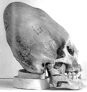 craneos_cristal_allien3