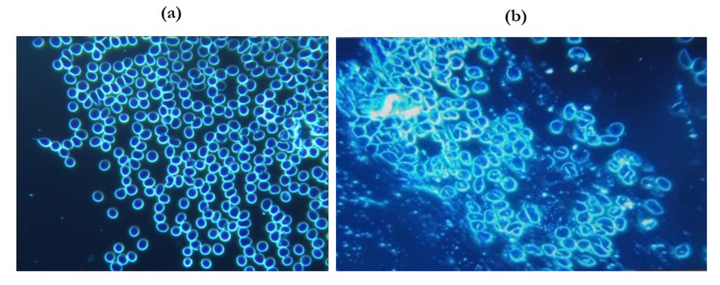 Screenshot_(1312)[1]