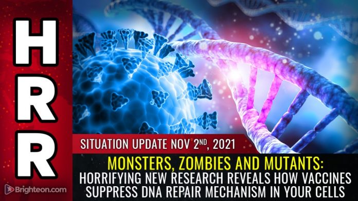Vaccine-suppression-of-DNA-Repair-696x392