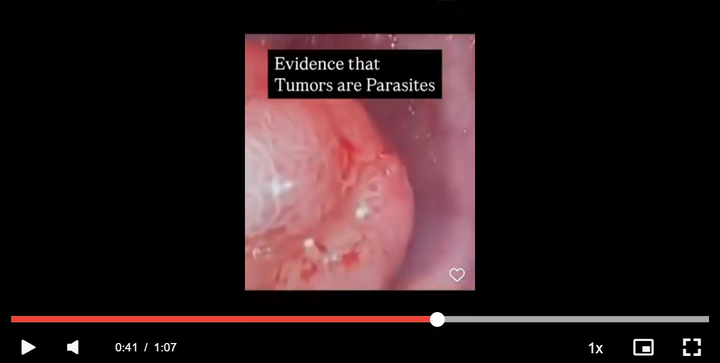 スクリーンショット (423)