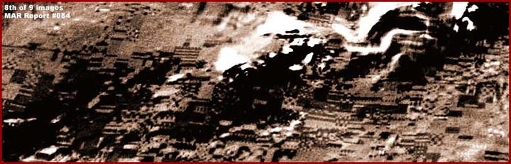 08-084-patrick-color