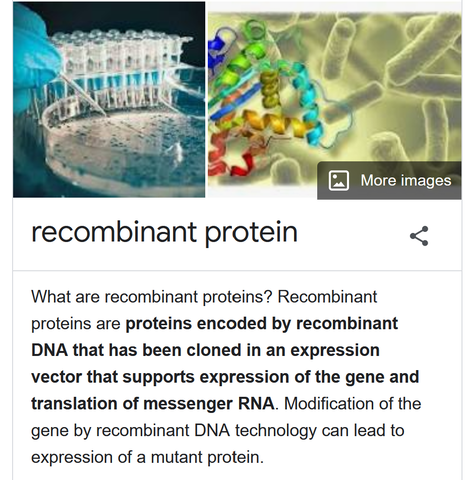 Rekombinante Proteine