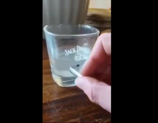 スクリーンショット (523)