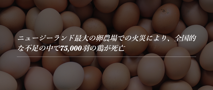 スクリーンショット (1765)