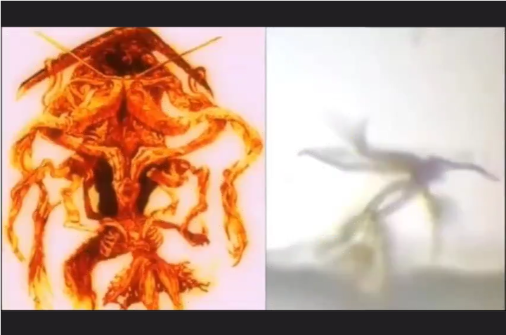 Bildschirmfoto (316)