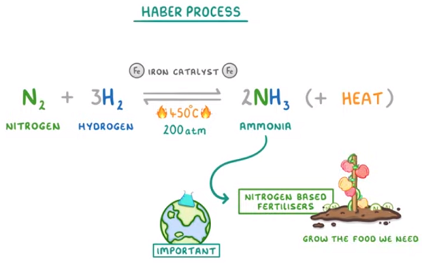 haber-prozess-dünger-lebensmittel