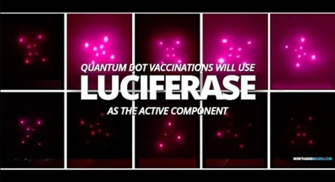 quantum-dot-vaccines-luciferase