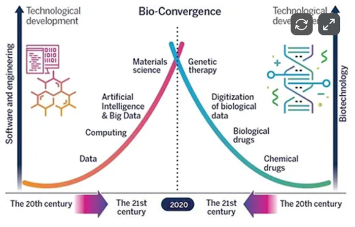 スクリーンショット (1312)