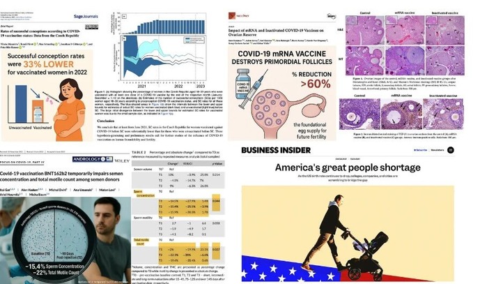 スクリーンショット (888)