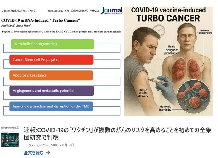 スクリーンショット (887)