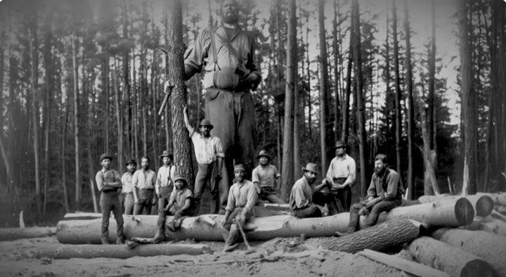 スクリーンショット (1297)