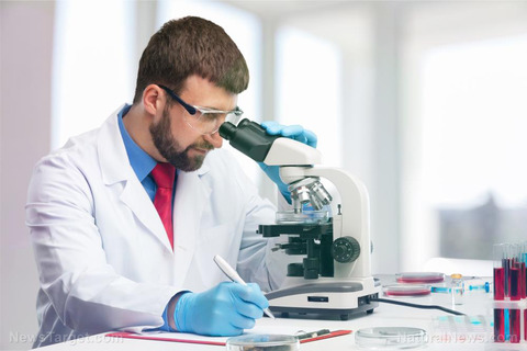 Scientist-Lab-Laboratory-Microbiology-Doctor-Equipment-Forensic