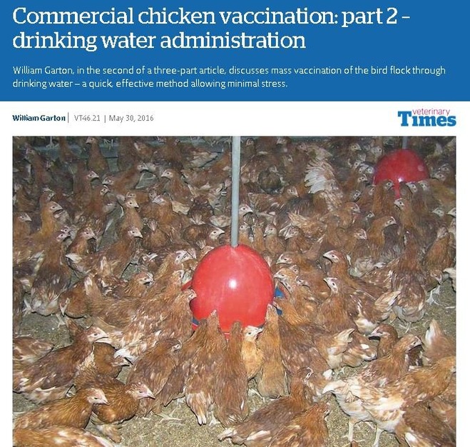 Impfstoff+Trinken+Wasser+Impfstoff