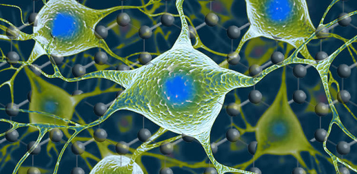 365-graphene-nerve-cells-future-technology