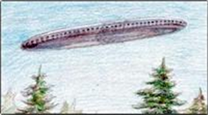 スクリーンショット (1080)