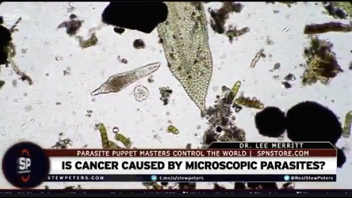 スクリーンショット (865)