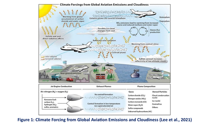 スクリーンショット (367)