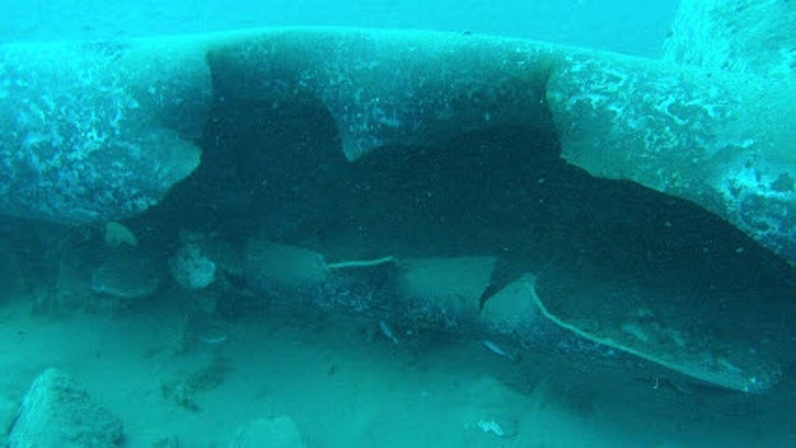 Pileline_damage_-_2