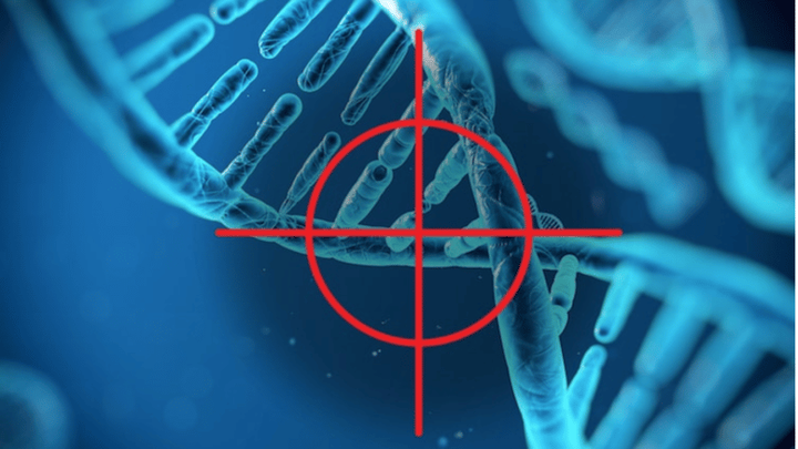 Screenshot-2022-07-26-um-6.59.27-AM