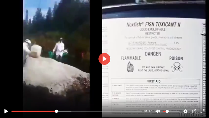 スクリーンショット (1775)