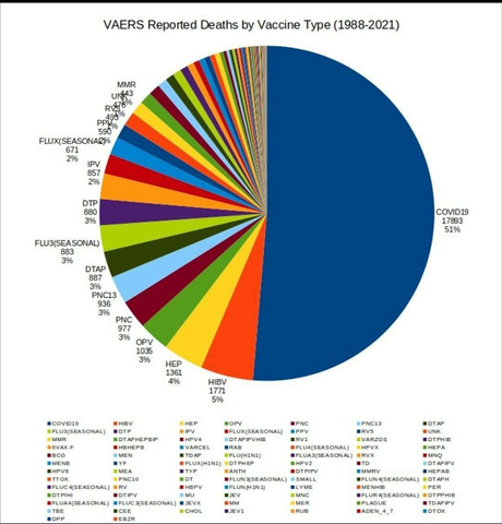 pie-chart-vaccine-deaths-by-type-600