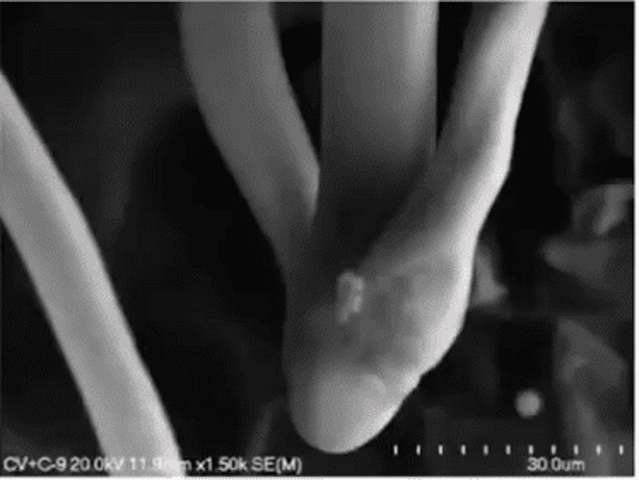 COVID-Impfstoff-Lebensform-3