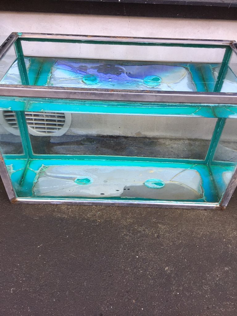水槽をもらってきました 赤い稲妻の春夏秋冬 水槽をもらってきました 赤い稲妻の春夏秋冬