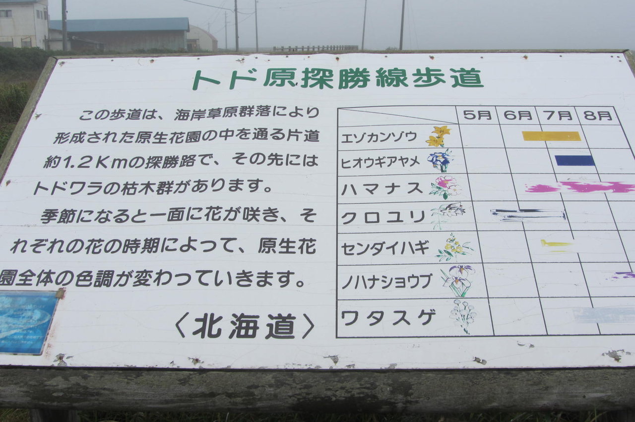 北海道ツーリング6日目 北海道で自然探検 Fz1 Fazer Gtといくヲタ街道まっしぐら 北海道ツーリング6日目 北海道で自然探検 Fz1 Fazer Gtといくヲタ街道まっしぐら