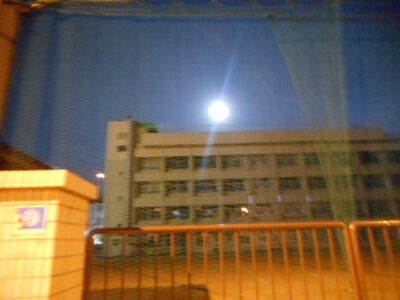 DSCN0749